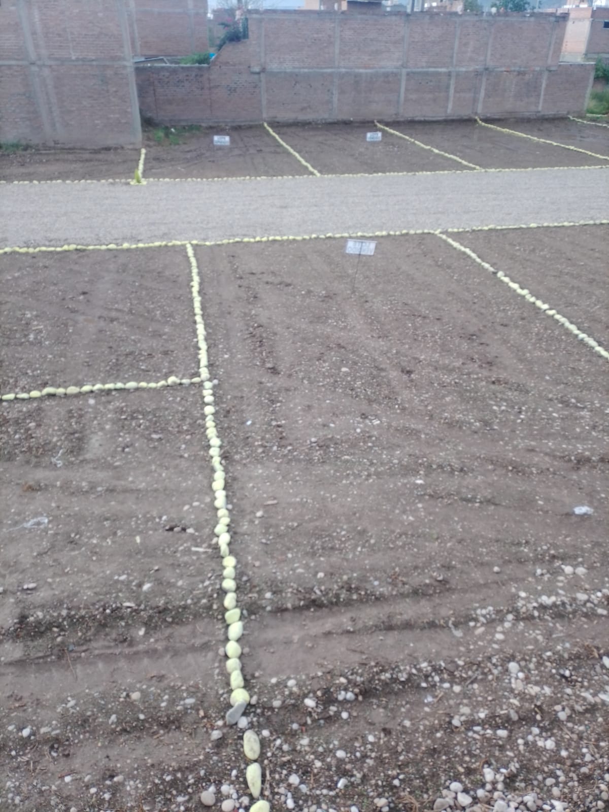 Jr. Miguel Grau - Calle asfaltada